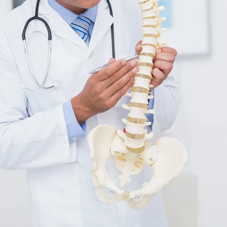 Chiropractic Assessment and Treatment Approach
